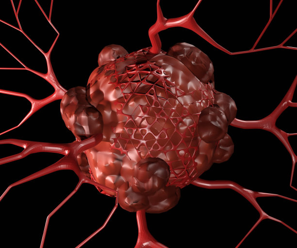 分离的肿瘤细胞和血动脉图片下载