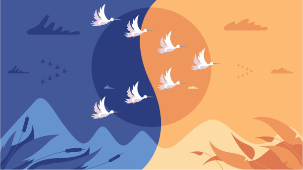 迁徙的鸟类图片下载