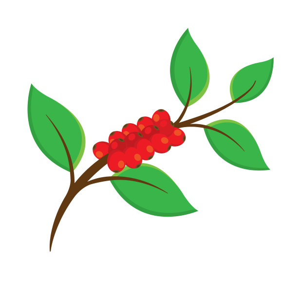 咖啡豆图片下载