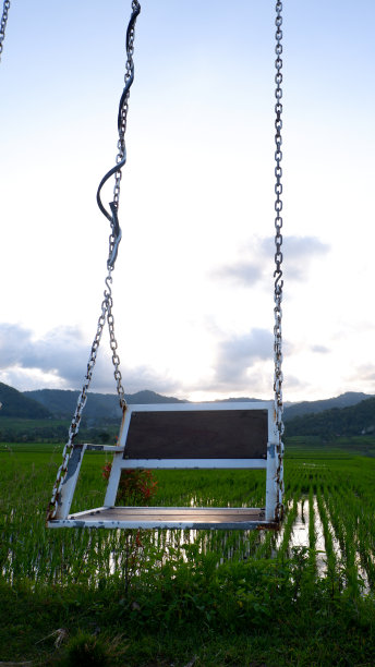 绿色稻田上的白色秋千图片下载