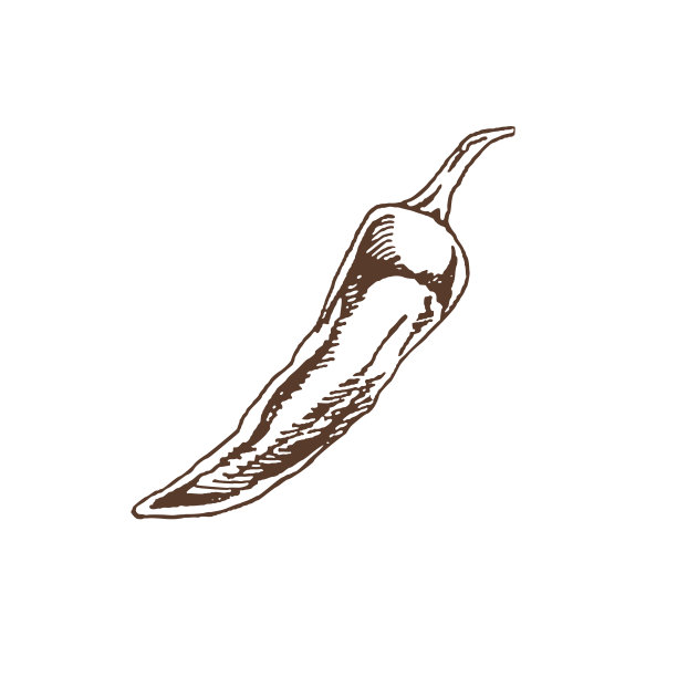有机食品。手绘矢量草图的辣椒。涂鸦复古插图。咖啡馆菜单和标签的装饰。刻“。图片下载