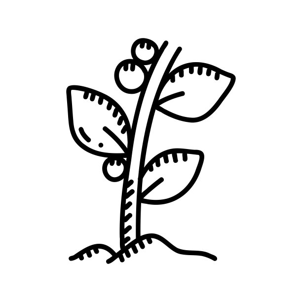 咖啡树手绘图标，涂鸦风格矢量插图图片下载