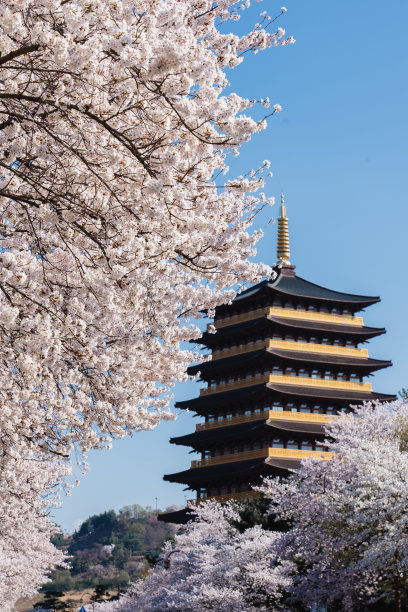 韩国庆州黄龙寺塔的复制品图片下载