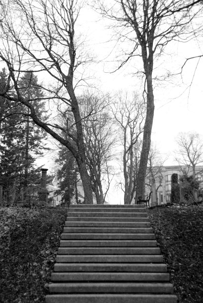 公园里的楼梯图片下载