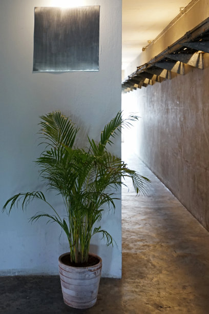 咖啡厅、面包店的室内设计与装修图片下载