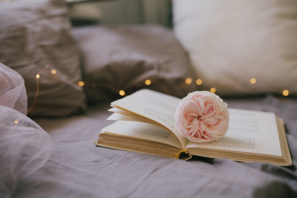 打开书和花园玫瑰在床上与自然复古亚麻布和灯光为背景。图片下载
