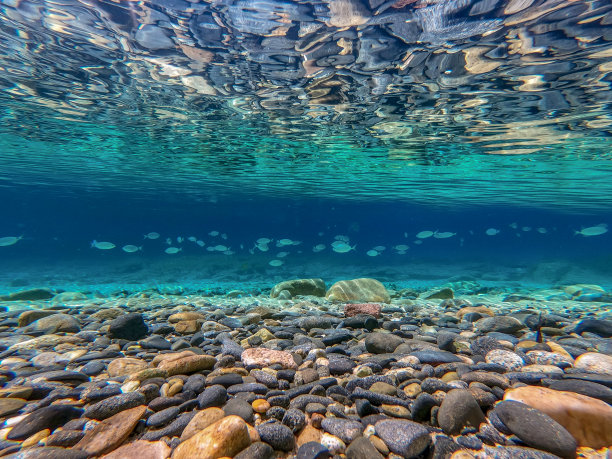海底世界广角视图，地中海，维拉西米乌斯，撒丁岛 水下照片在清澈的海水为背景。一群生活在地中海清澈海水中的鱼图片下载