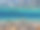 海底世界广角视图，地中海，维拉西米乌斯，撒丁岛 水下照片在清澈的海水为背景。一群生活在地中海清澈海水中的鱼图片下载