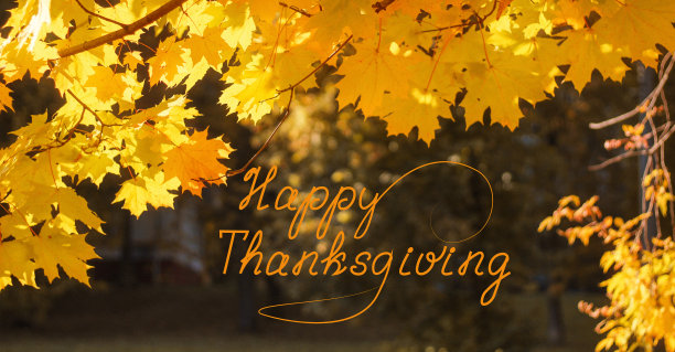 金色的枫叶在黑暗的自然背景。秋天的框架。横幅。感恩节刻字图片下载