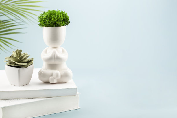 美丽的陶瓷瑜伽雕塑与青苔陶瓷花盆图片下载