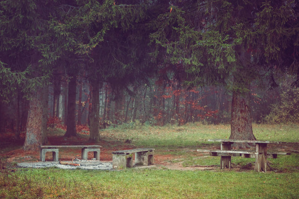 森林里的烤架。浪漫、朦胧、雾蒙蒙的秋景。复古的自然照片与戏剧性的颜色图片下载