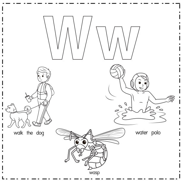 向量插图学习字母W的小写和大写的儿童与3卡通图像。遛狗，黄蜂水球。图片下载