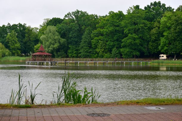 码头:位于小池塘或河流中央的由木板、圆木和木板构成的码头、码头或平台的景色，周围环绕着芦苇、森林、沼泽和其他植物群，见于波兰图片下载