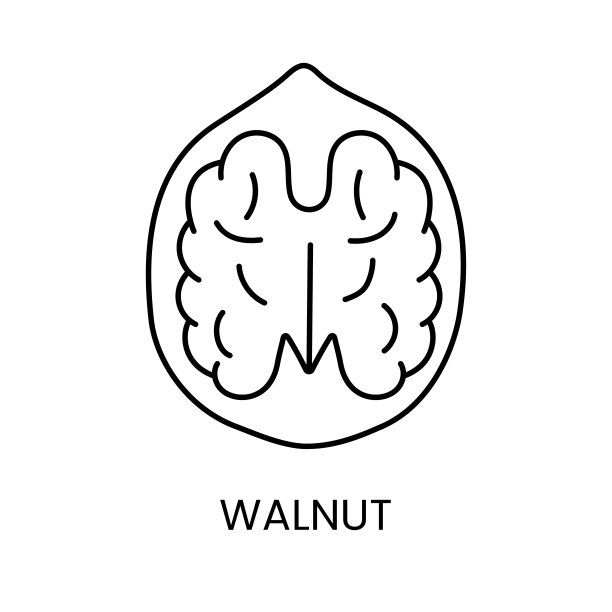 发现核桃的丰富性，一个极简的线条矢量图标捕捉的本质和复杂性。图片下载