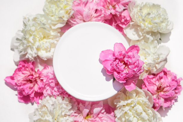 美丽的框架与花卉鸽子的背景。自由空间图片下载