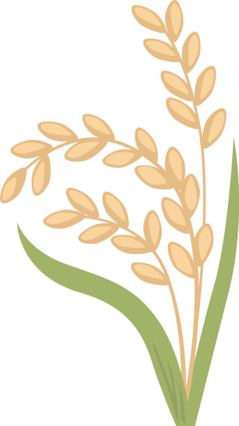 444年_elements_cereals_grain_plants_set图片下载