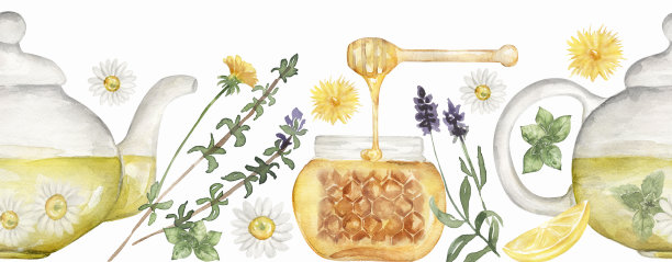 手绘水彩草药茶无缝边框插图:草药，柠檬，薄荷，茶叶，蜂蜜，蒲公英。重复的模式图片下载