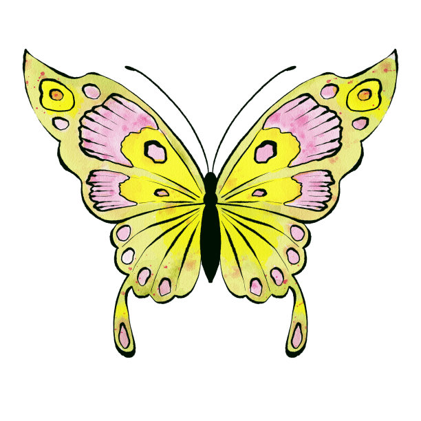 水彩蝴蝶，孤立的白色背景。手绘插图图片下载