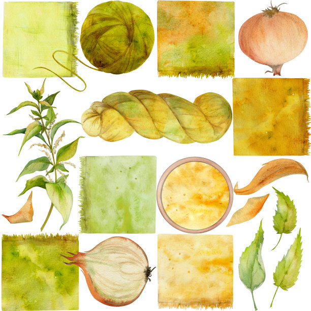 手绘水彩画荨麻、洋葱着色天然植物染料，爱好材料，手工织物。插图孤立无缝图案，白色背景。商店标志，网站，名片，小册子图片下载