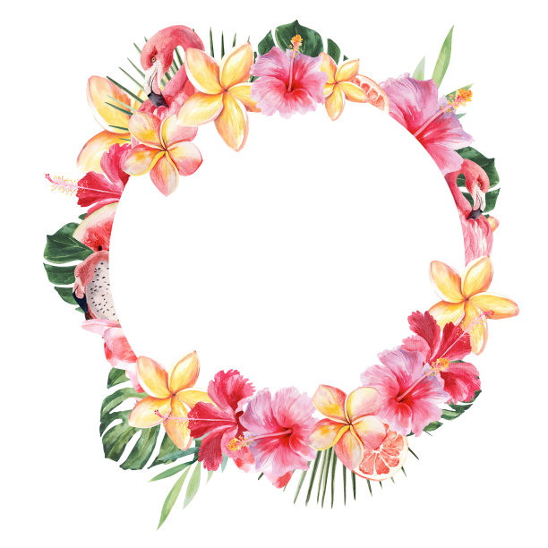 以热带植物和火烈鸟为主题的明亮多汁插图。圆的框架。用手在白色背景上画水彩画。图片下载