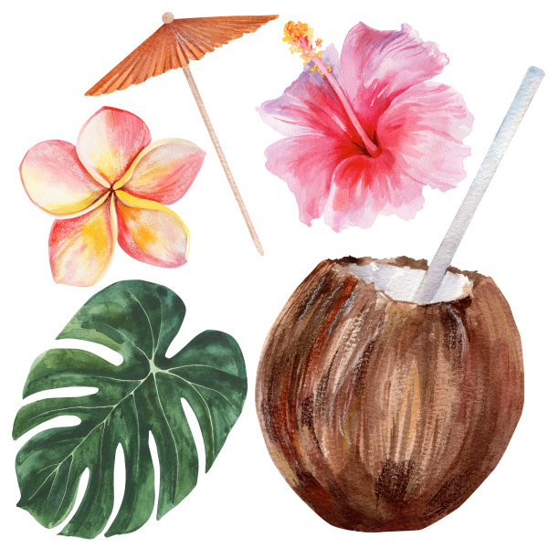 暑假插图集。水彩绘画。孤立的对象。在热带度假胜地度暑假。设计纪念品、明信片、海报、请柬等。图片下载