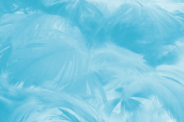 美丽的蓝色绿松石复古色趋势羽毛图案纹理柔和的背景图片下载