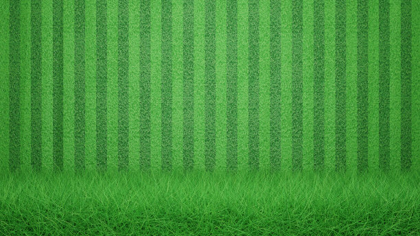 绿草场与绿草线背景，绿草场隔离的线背景，3d插图图片下载