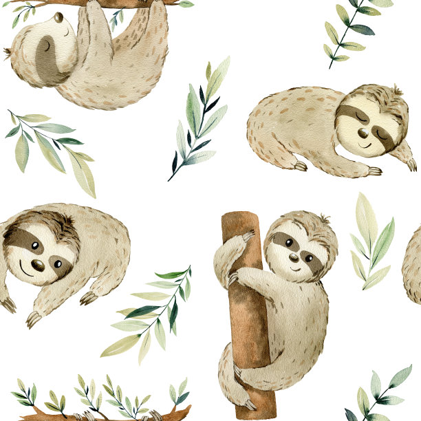 水彩可爱的树懒。图片下载