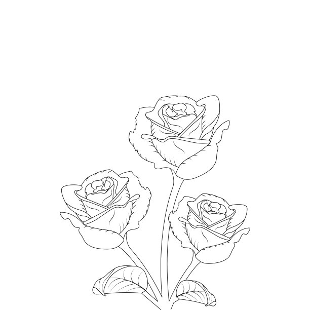 玫瑰花轮廓元素着色页图片下载