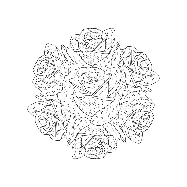 手绘玫瑰花着色书图片下载