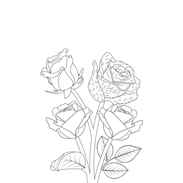 玫瑰儿童涂色书图片下载