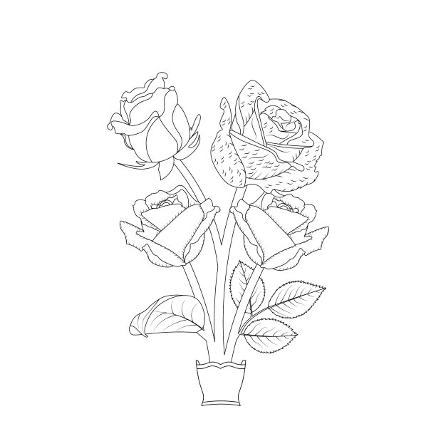 手绘玫瑰花着色书图片下载