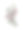 Clarkia和Pinkfaries Plants，维多利亚植物学插图图片下载