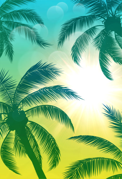 棕榈树和太阳绿色的背景图片下载