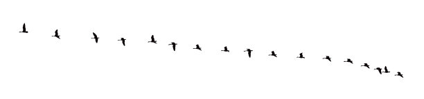 大雁排成V字形飞行图片下载