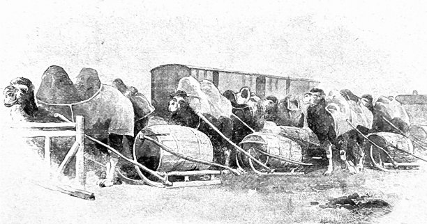 西伯利亚铁路站图片下载