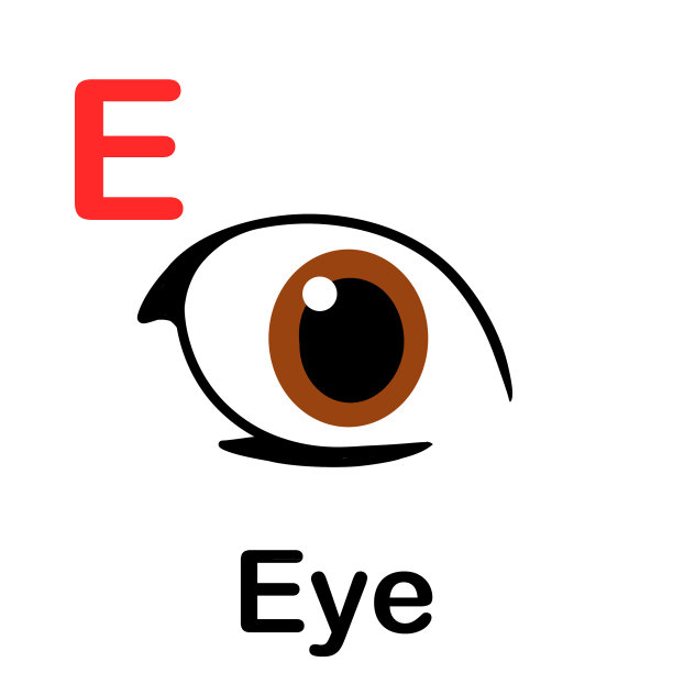 简单的眼睛设计图片下载