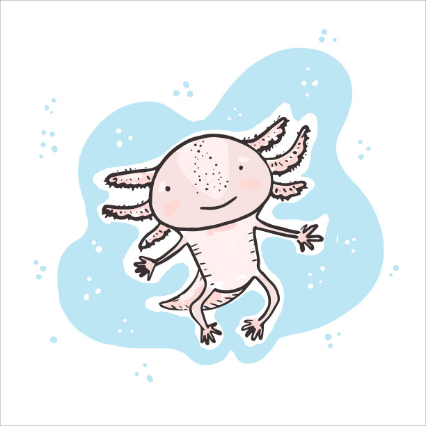 可爱素描手绘彩色蝾螈图片下载