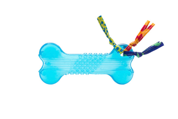 白色背景下的狗骨头玩具图片下载