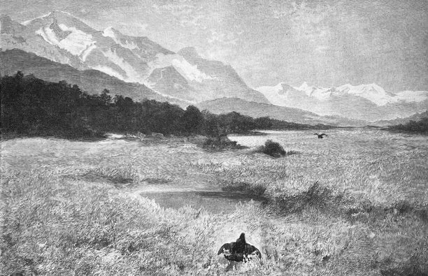 在高沼地图片下载