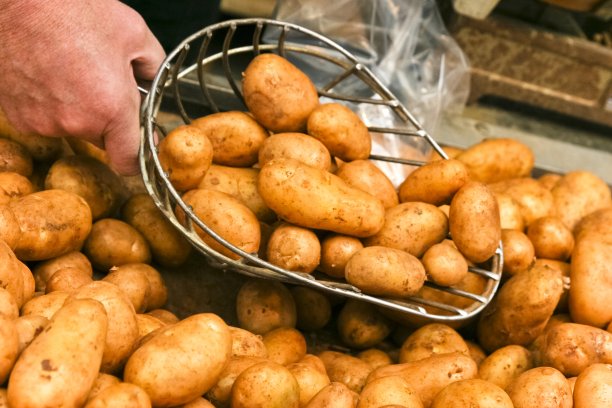 一勺新鲜土豆图片下载