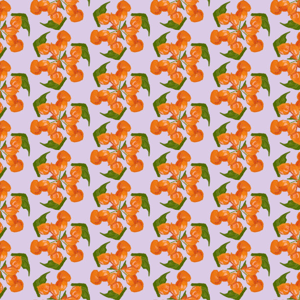 贝瑞点缀图片下载