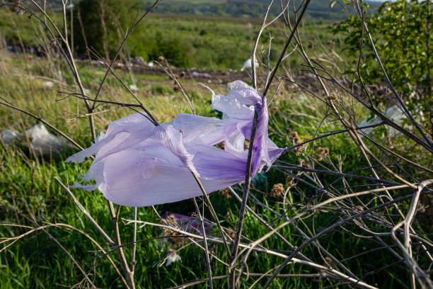 一个粘在灌木丛和树木树枝上的塑料袋。地球上的生态问题。图片下载