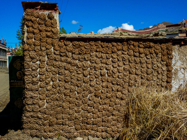 西藏江孜用晒牦牛粪的墙图片下载