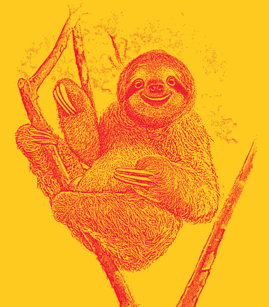 快乐的树懒在树上休息图片下载