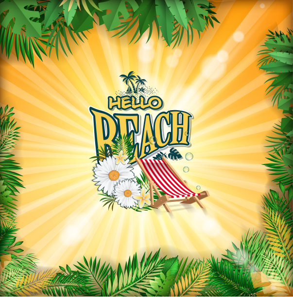 闪亮的植物阳光图片下载