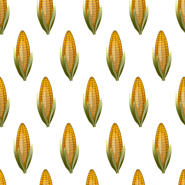 白色背景上的甜玉米无缝图案。天然新鲜玉米。包装、卡片和其他设计的矢量图。食品概念图片下载
