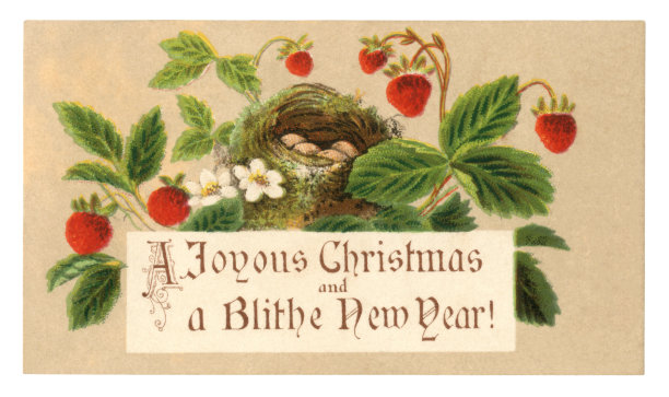 维多利亚时代的圣诞和新年贺卡，上面有草莓和燕窝，1876年图片下载