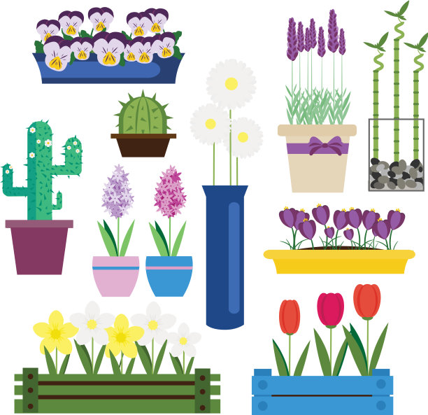 室内和花园花卉花盆设置图片下载