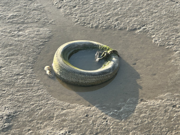 废弃的轮图片下载